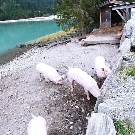 Apart Gerlossteinblick Aschau Im Zillertal Eksteriør billede