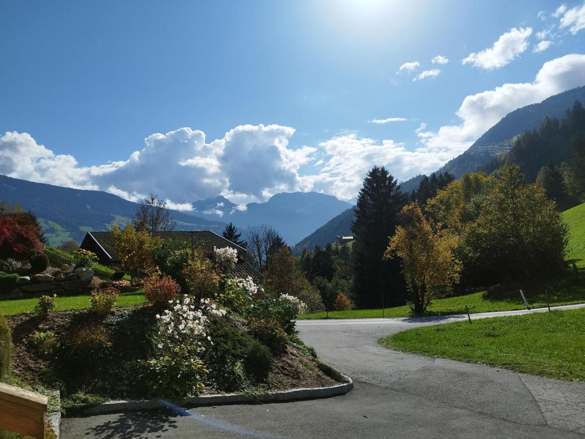 Apart Gerlossteinblick Aschau Im Zillertal Eksteriør billede