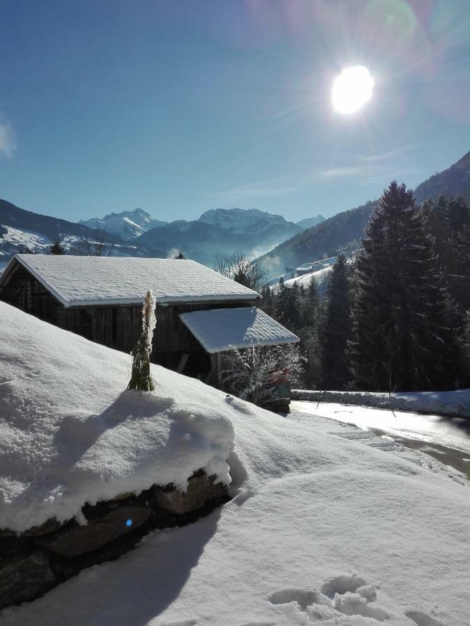 Apart Gerlossteinblick Aschau Im Zillertal Eksteriør billede