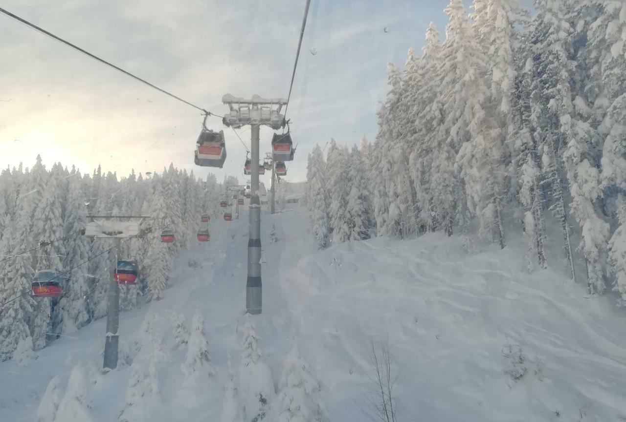 Apart Gerlossteinblick Aschau Im Zillertal Eksteriør billede