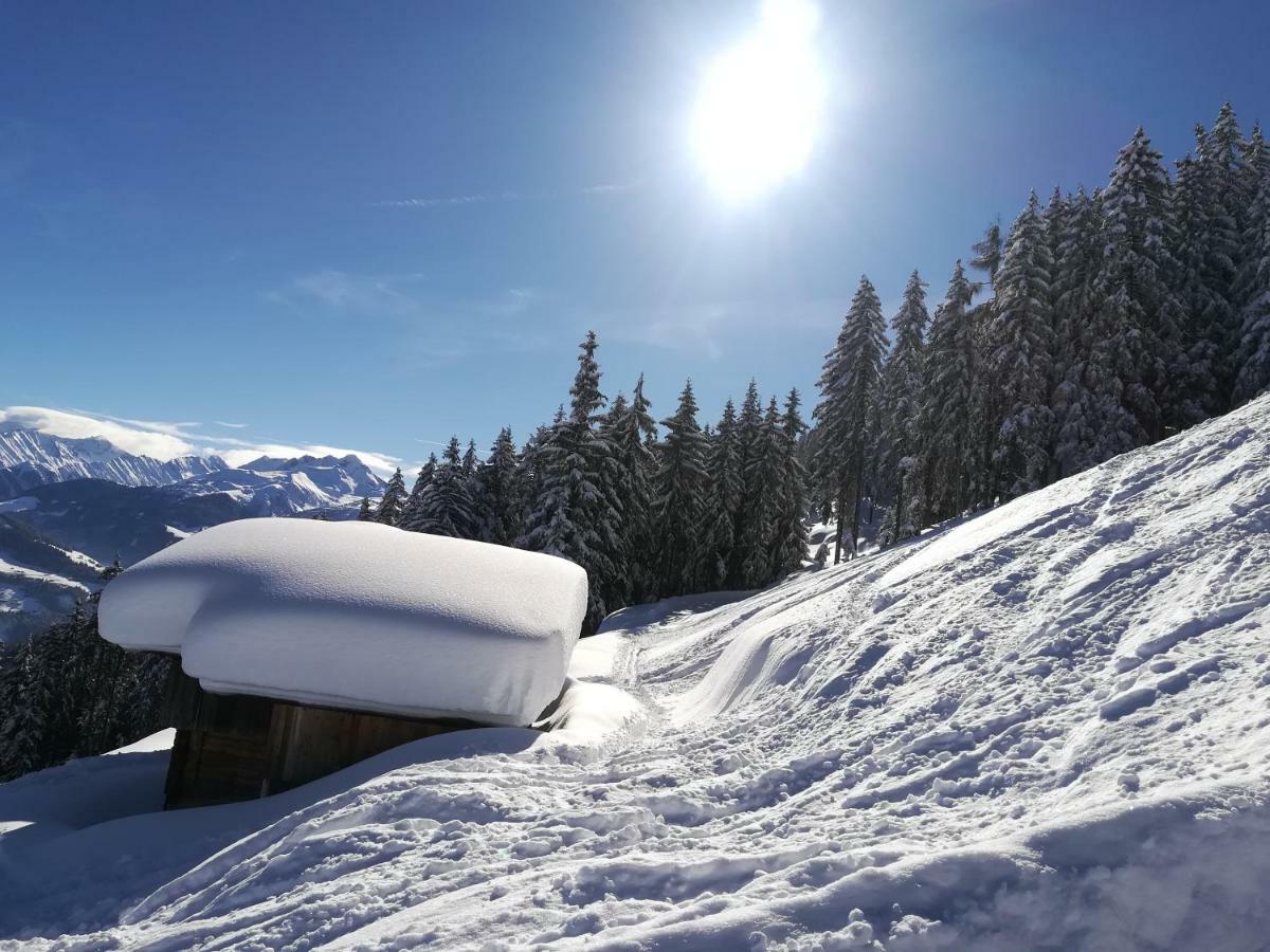 Apart Gerlossteinblick Aschau Im Zillertal Eksteriør billede